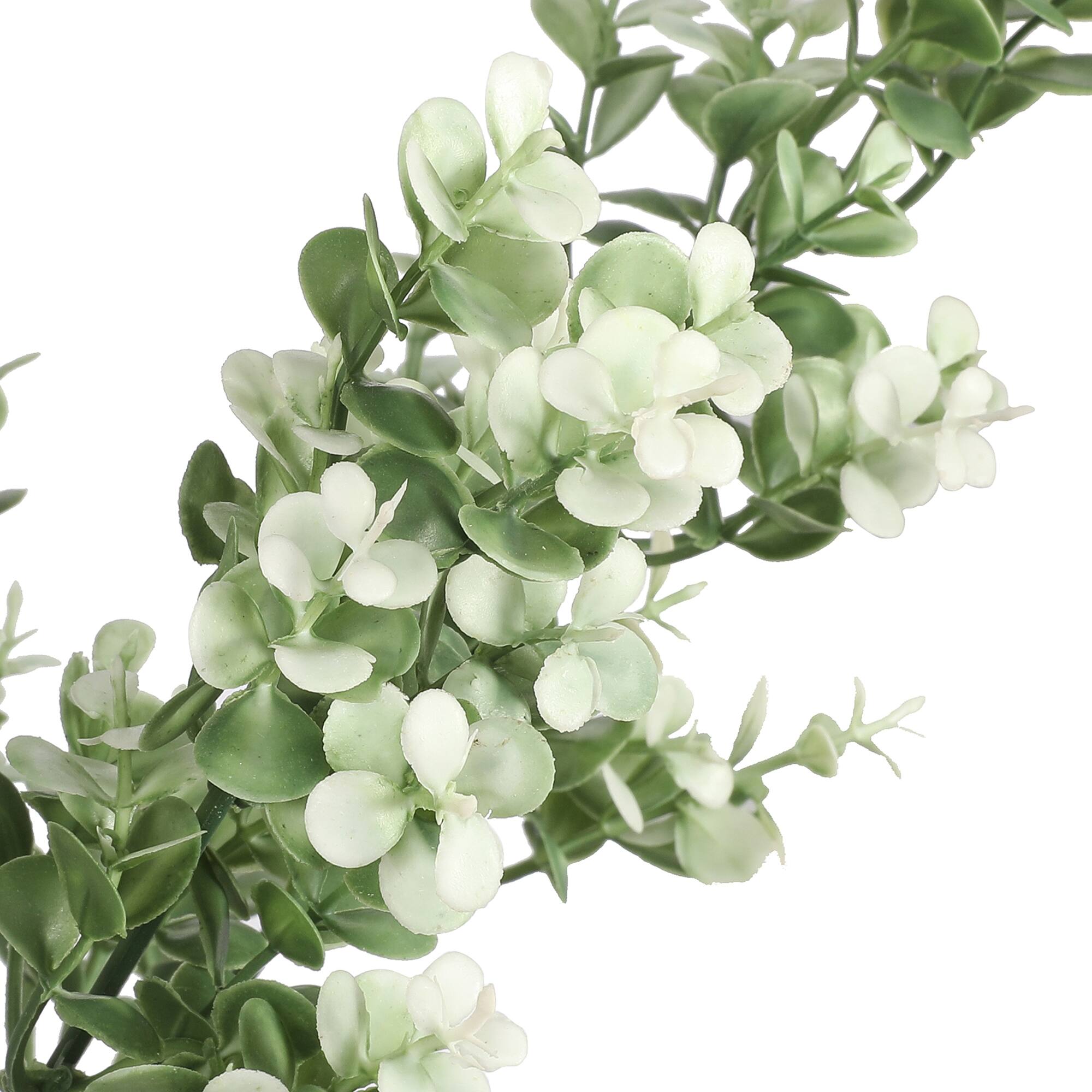 19" Cream Boxwood Bush by Ashland®